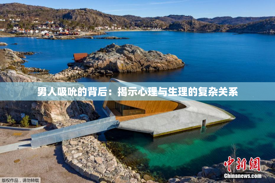 男人吸吮的背后：揭示心理与生理的复杂关系
