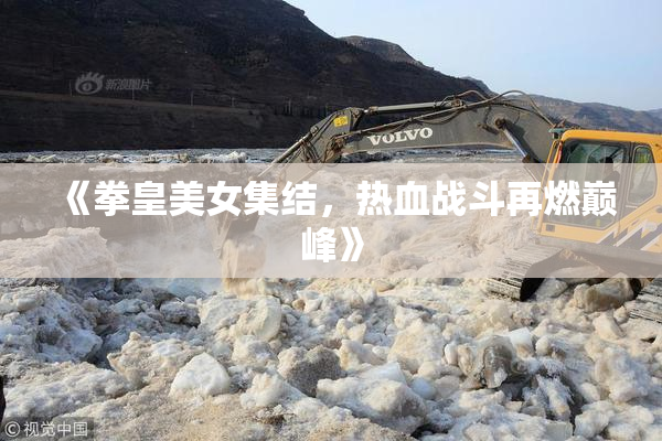 《拳皇美女集结，热血战斗再燃巅峰》