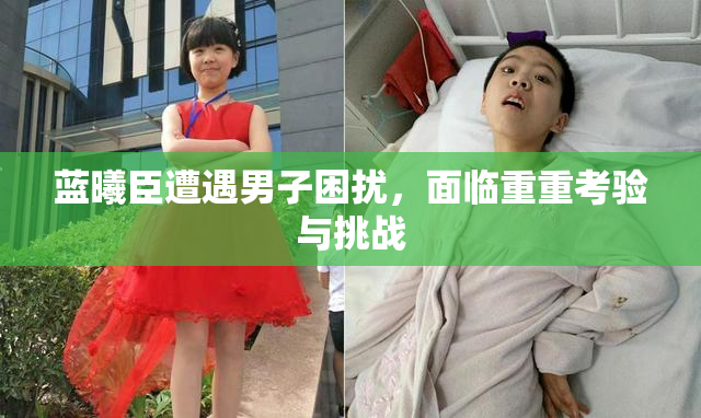 蓝曦臣遭遇男子困扰，面临重重考验与挑战
