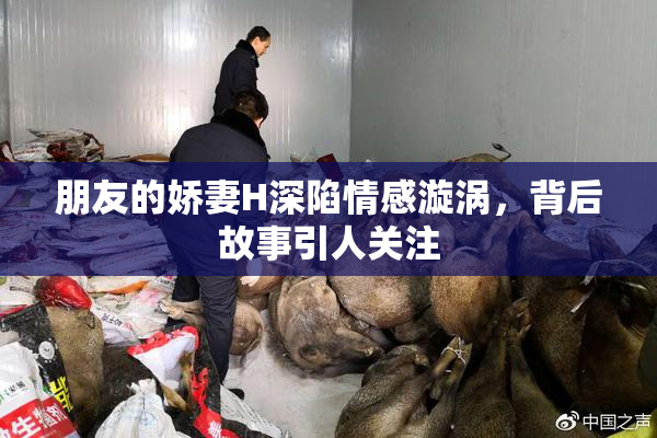 朋友的娇妻H深陷情感漩涡，背后故事引人关注