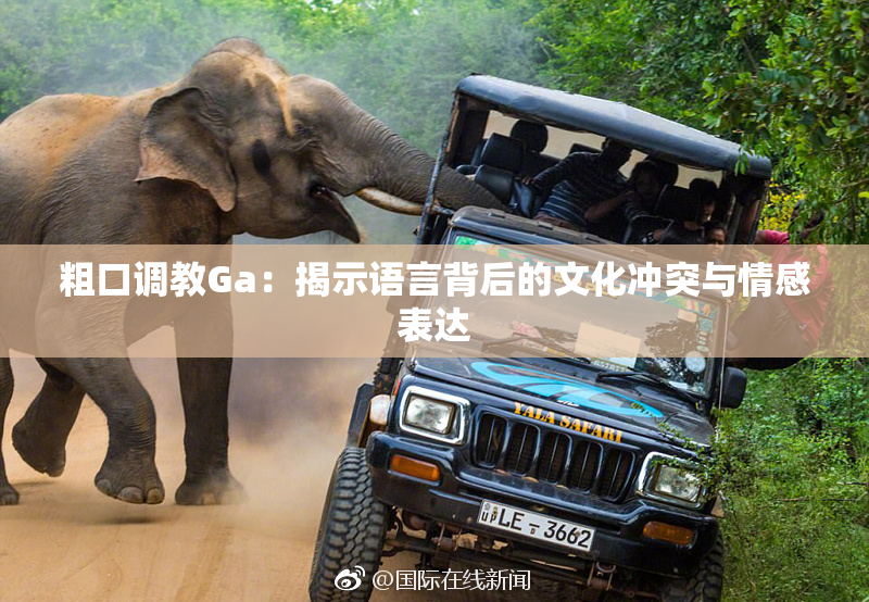 粗口调教Ga：揭示语言背后的文化冲突与情感表达