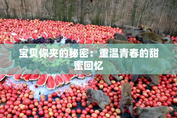 宝贝你夹的秘密：重温青春的甜蜜回忆