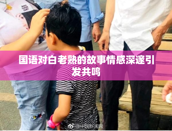 国语对白老熟的故事情感深邃引发共鸣
