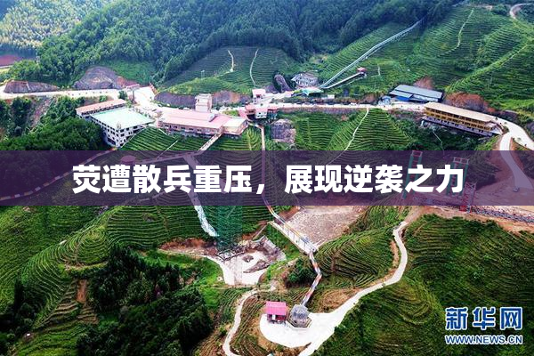 荧遭散兵重压，展现逆袭之力
