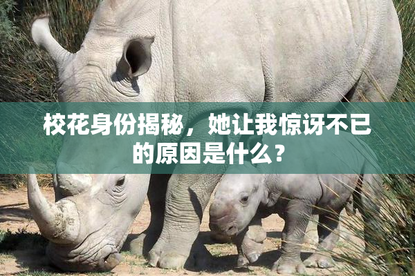 校花身份揭秘，她让我惊讶不已的原因是什么？