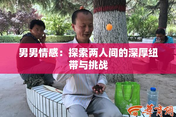 男男情感：探索两人间的深厚纽带与挑战