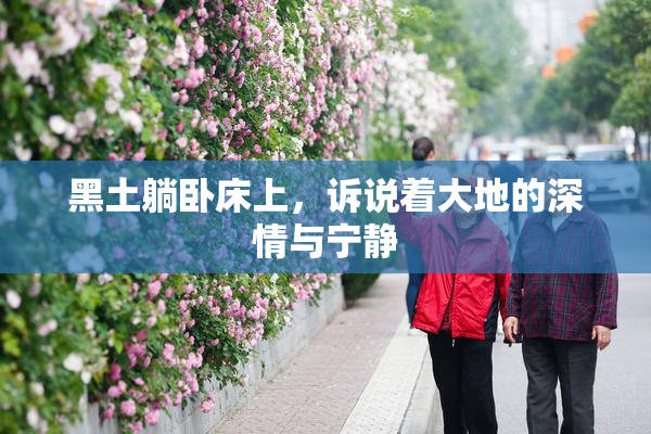黑土躺卧床上，诉说着大地的深情与宁静