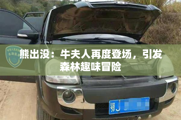 熊出没：牛夫人再度登场，引发森林趣味冒险