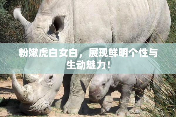 粉嫩虎白女白，展现鲜明个性与生动魅力！