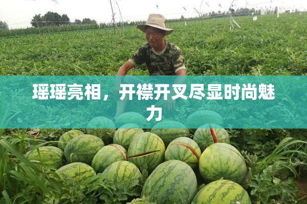 瑶瑶亮相，开襟开叉尽显时尚魅力