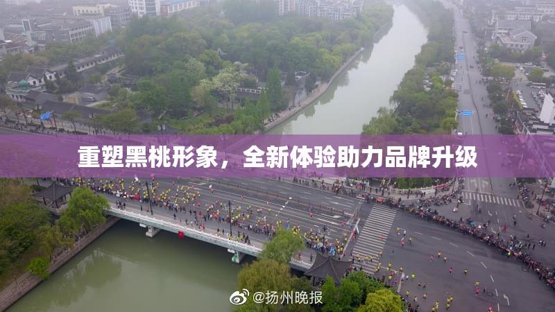 重塑黑桃形象，全新体验助力品牌升级