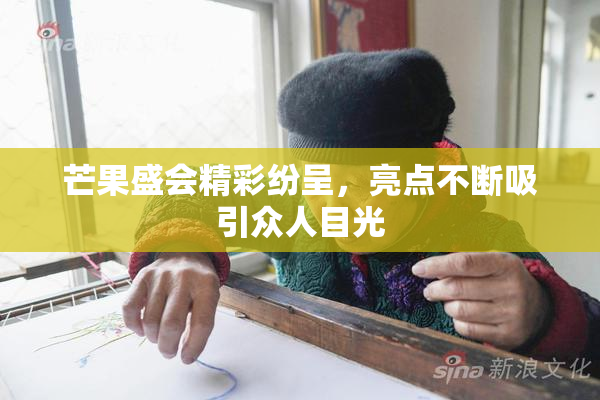 芒果盛会精彩纷呈，亮点不断吸引众人目光