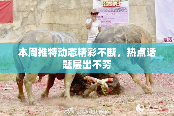 本周推特动态精彩不断，热点话题层出不穷