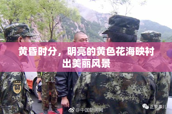 黄昏时分，明亮的黄色花海映衬出美丽风景