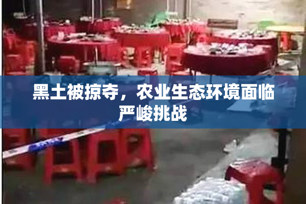 黑土被掠夺，农业生态环境面临严峻挑战