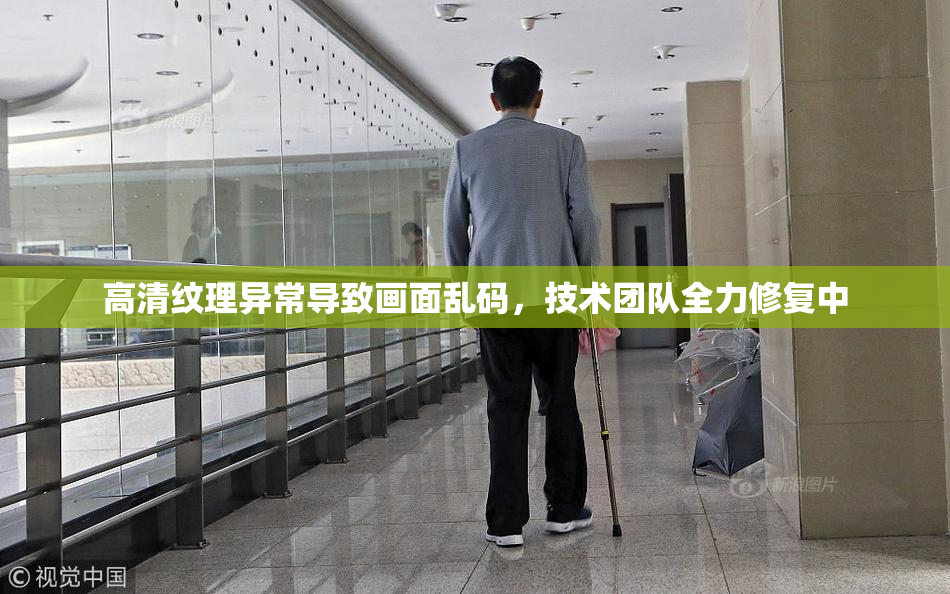 高清纹理异常导致画面乱码，技术团队全力修复中