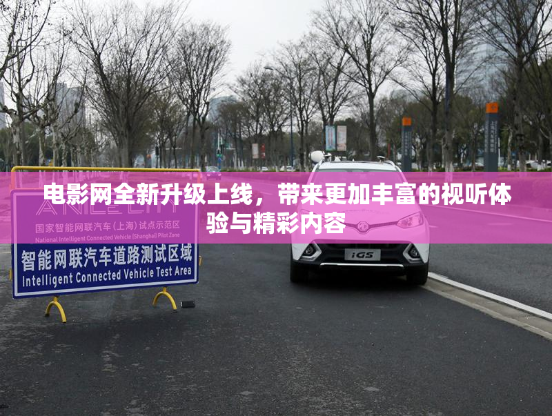 电影网全新升级上线，带来更加丰富的视听体验与精彩内容