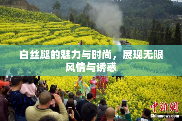 白丝腿的魅力与时尚，展现无限风情与诱惑