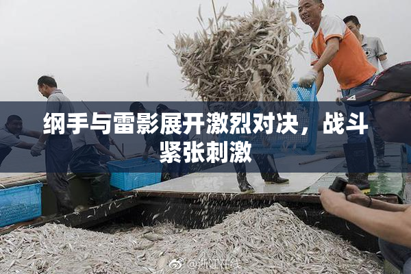 纲手与雷影展开激烈对决，战斗紧张刺激