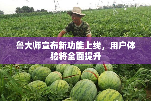 鲁大师宣布新功能上线，用户体验将全面提升