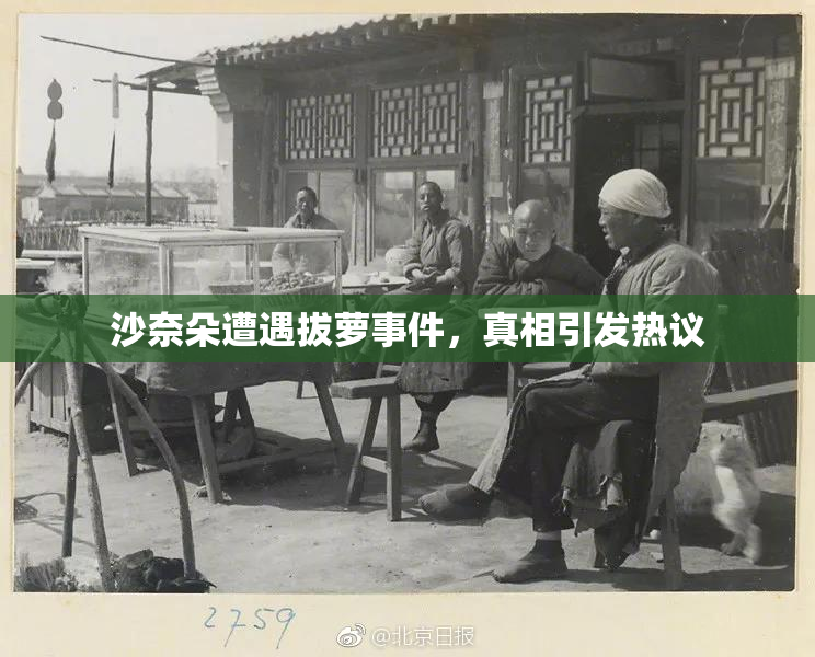 沙奈朵遭遇拔萝事件，真相引发热议
