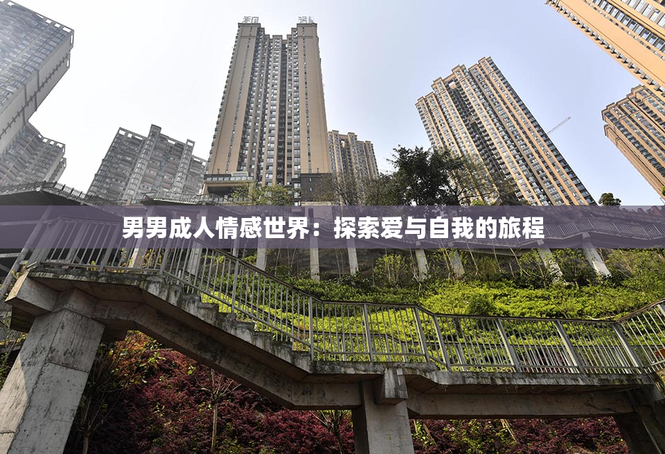 男男成人情感世界：探索爱与自我的旅程