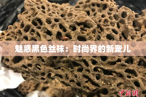 魅惑黑色丝袜：时尚界的新宠儿