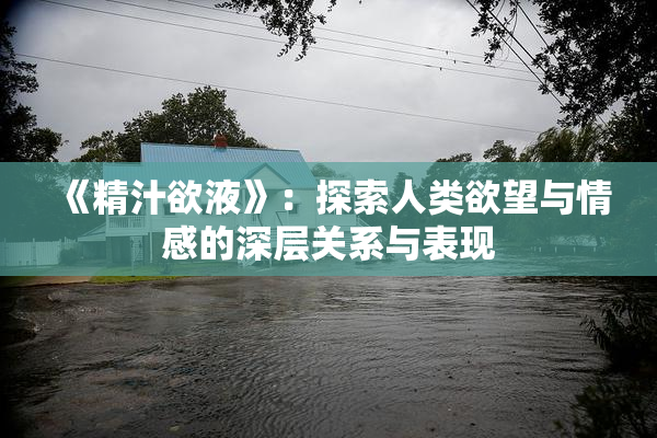 《精汁欲液》：探索人类欲望与情感的深层关系与表现