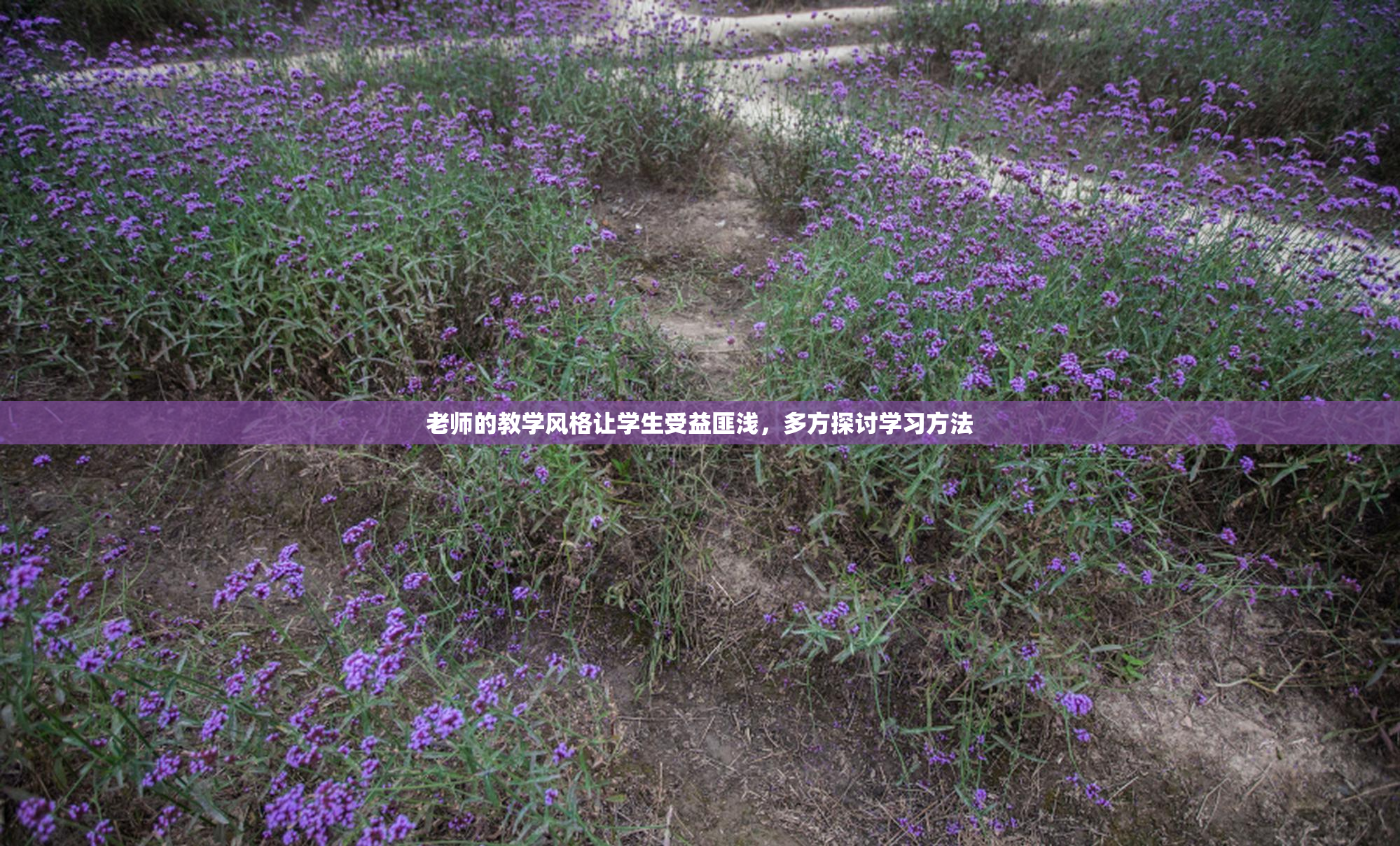 老师的教学风格让学生受益匪浅，多方探讨学习方法