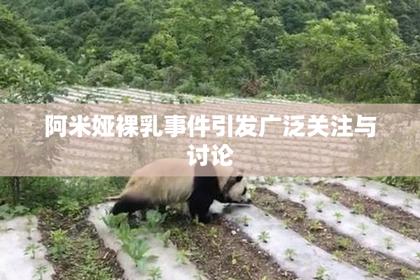 阿米娅裸乳事件引发广泛关注与讨论