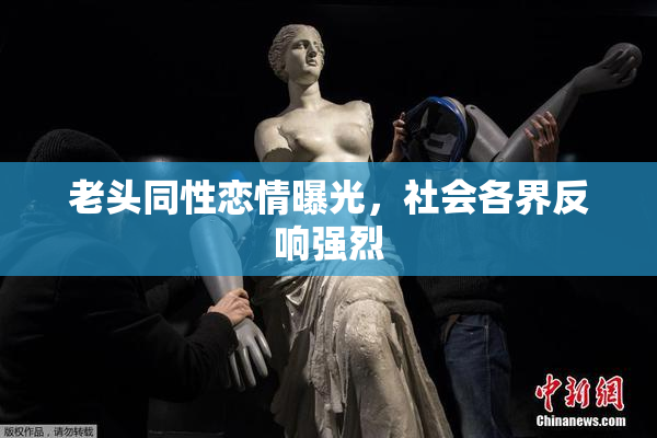 老头同性恋情曝光，社会各界反响强烈