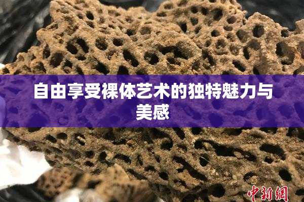 自由享受裸体艺术的独特魅力与美感