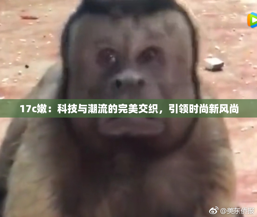 17c嫩：科技与潮流的完美交织，引领时尚新风尚