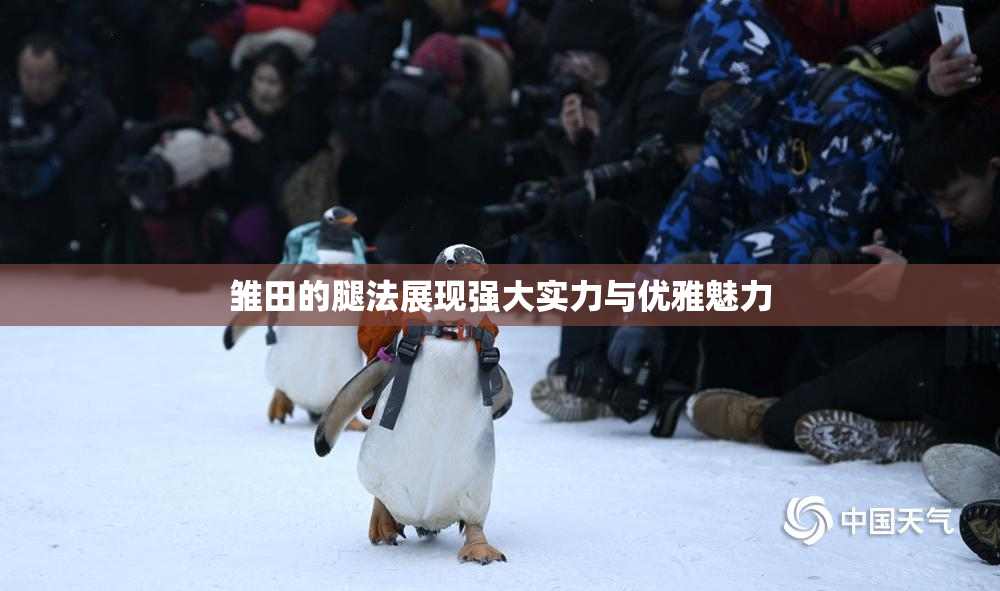 雏田的腿法展现强大实力与优雅魅力
