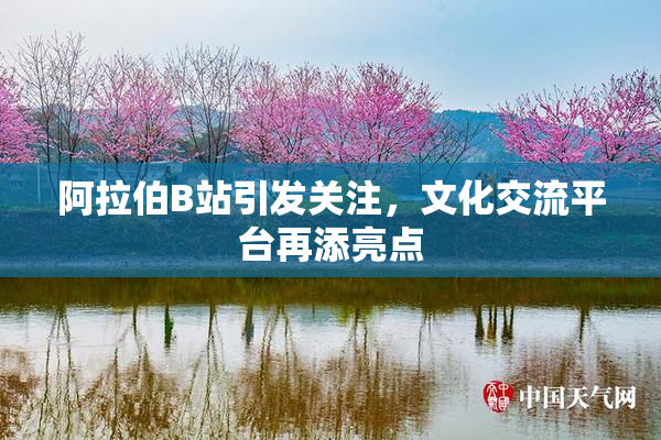 阿拉伯B站引发关注，文化交流平台再添亮点
