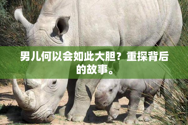 男儿何以会如此大胆？重探背后的故事。