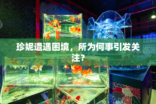 珍妮遭遇困境，所为何事引发关注？