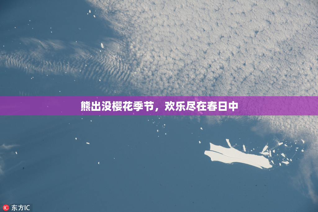 熊出没樱花季节，欢乐尽在春日中
