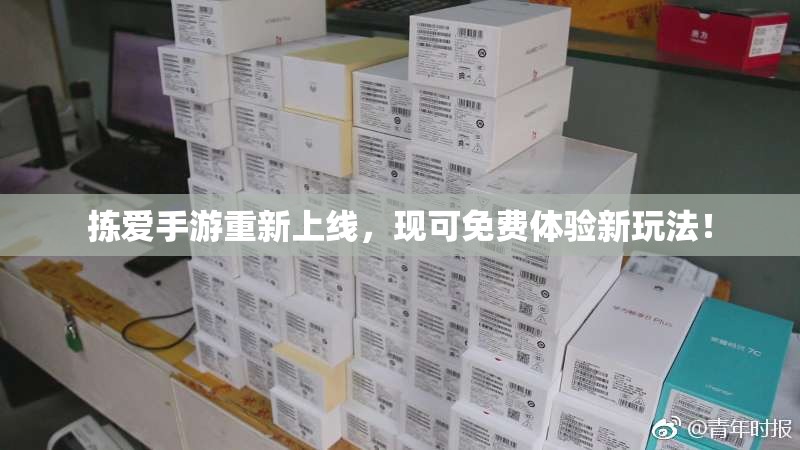 拣爱手游重新上线，现可免费体验新玩法！