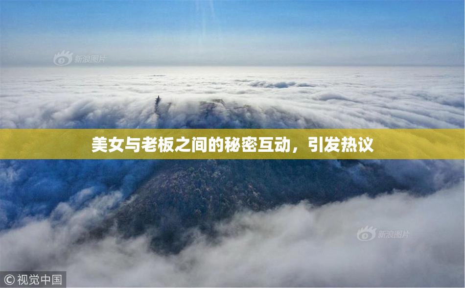美女与老板之间的秘密互动，引发热议