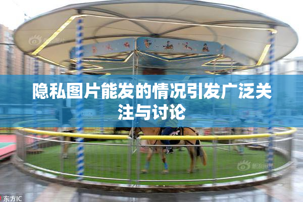 隐私图片能发的情况引发广泛关注与讨论