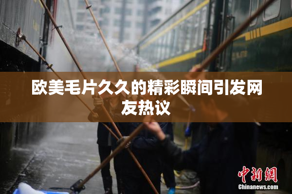欧美毛片久久的精彩瞬间引发网友热议