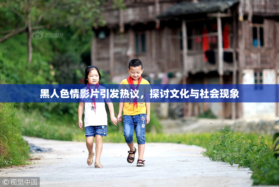 黑人色情影片引发热议，探讨文化与社会现象