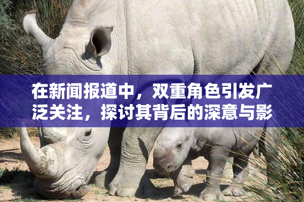 在新闻报道中，双重角色引发广泛关注，探讨其背后的深意与影响。