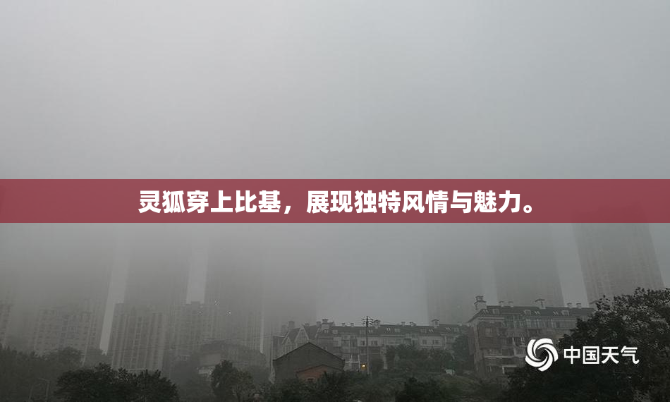 灵狐穿上比基，展现独特风情与魅力。