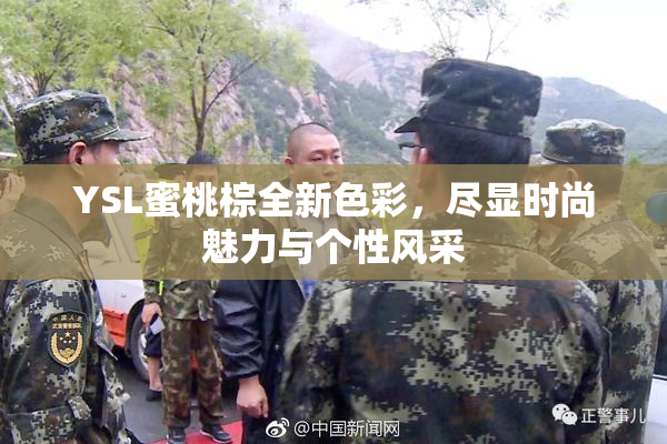 YSL蜜桃棕全新色彩，尽显时尚魅力与个性风采
