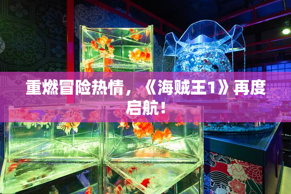 重燃冒险热情，《海贼王1》再度启航！
