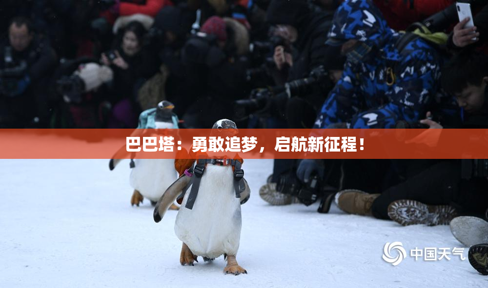 巴巴塔：勇敢追梦，启航新征程！