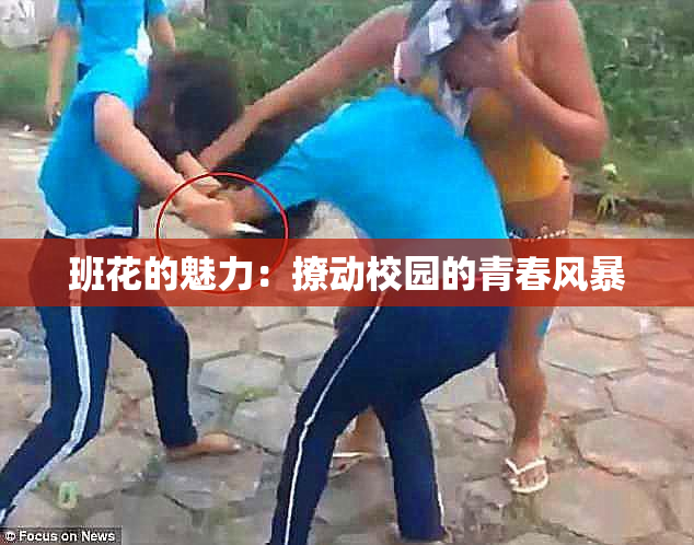 班花的魅力：撩动校园的青春风暴
