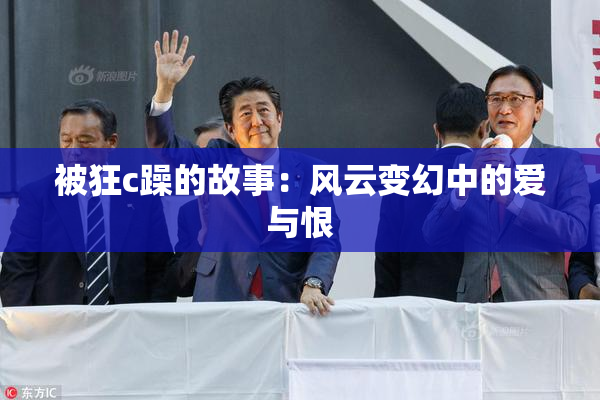 被狂c躁的故事：风云变幻中的爱与恨